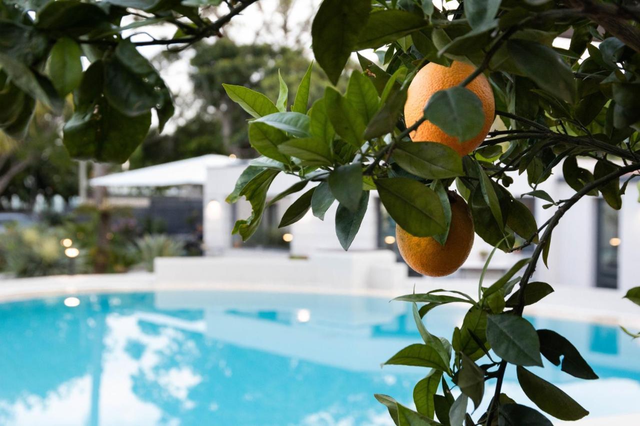 Villa Masetta - Luxury Suites Palermo Kültér fotó